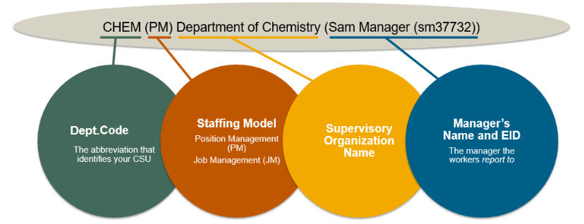 supervisory-organizations-in-workday